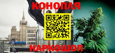 сатива Аргун